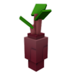 Evo Beetroot III seed image