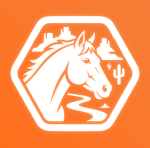 Houston Roleplay I ERLC