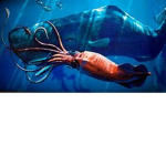 The squid baddle