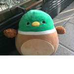 ##### duck
