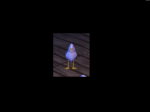 A really really nice seagull