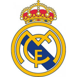 Real Madrid Match Pitch