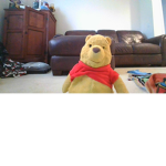 winniethepooh fan club