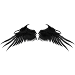 Goth Vampire Black Wings
