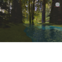 a peaceful forest