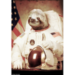 Space Sloth