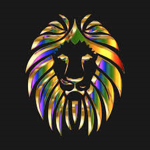 Cool Lion's Clothing