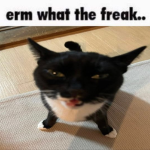 erm what the freak!!!!!!!