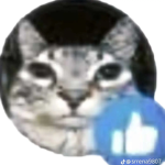tapetee