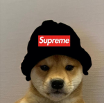 Duckies Roblox club