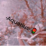 •Aquarius•