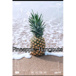 Pineapple~Hangouts