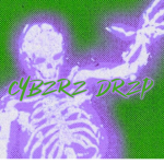 CYBZRZ DRZP