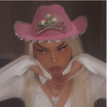 Megantheestallion robux group only for fam