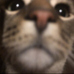 find the dudes 2 [50]