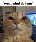 Yes_queen_roux