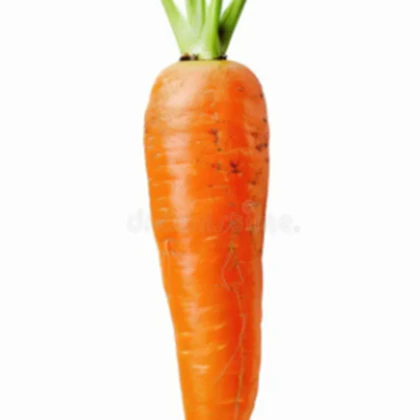 RE ZANAHORIAS Roblox group icon