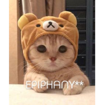 Epiphany**