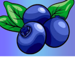 Cocoblueberry