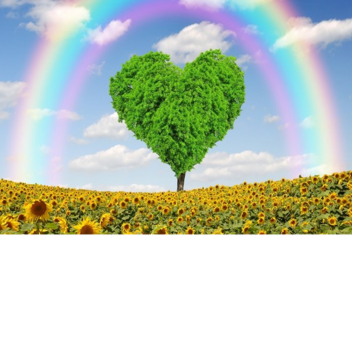 THE RAINBOW IS COOL :D