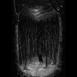 The Metal Forest (clothing)