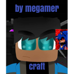 El grupo de seguidores de megamer
