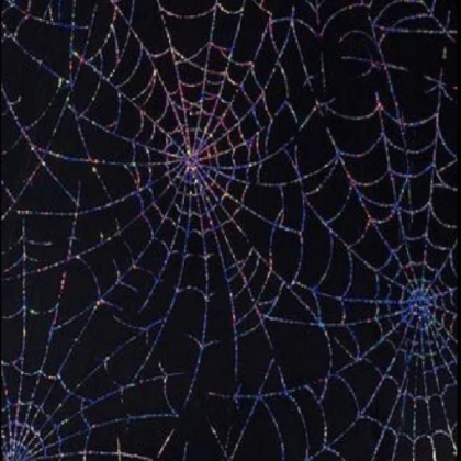 spider webs