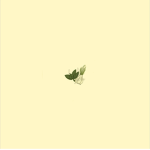 Basil n Garlic