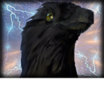 Raven-Studios