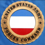 USA_Forces Command