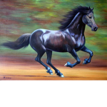 🐎❤ Midnight gallop ❤🐎