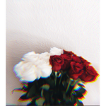 For JustJxlenaa