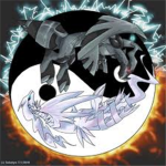 -Pokemon black and White-