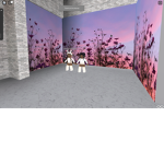 Koala_Nation