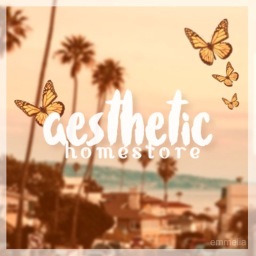 Aesthetic Homestore