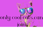 pro gamer network!