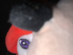 Join this group for NO Robux not lying