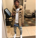 Wse Ent