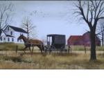 amish colony