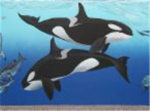 Killer Whale Lovers
