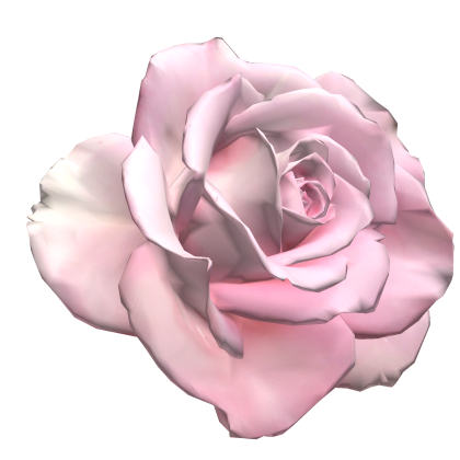 ばら Pink Elegant Rose Flower