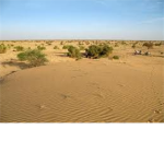~Back West~