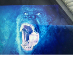 Kong Fan group!