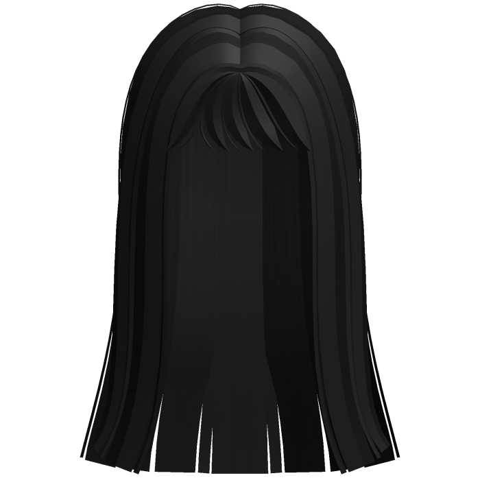 Long Straight Hair (Black)