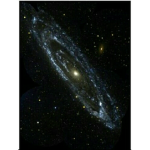 Galaxy pingus