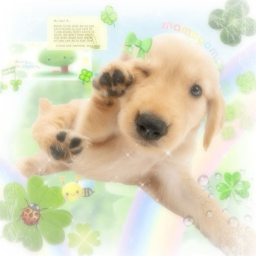 ⊹ ୨୧ ⋅꒷☘️ ୭ ｡˚
