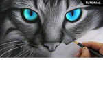~ll NightClan ll~