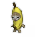 Elgato and banana cats