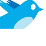#birdspaud