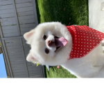 Ralphie1007 group welcome